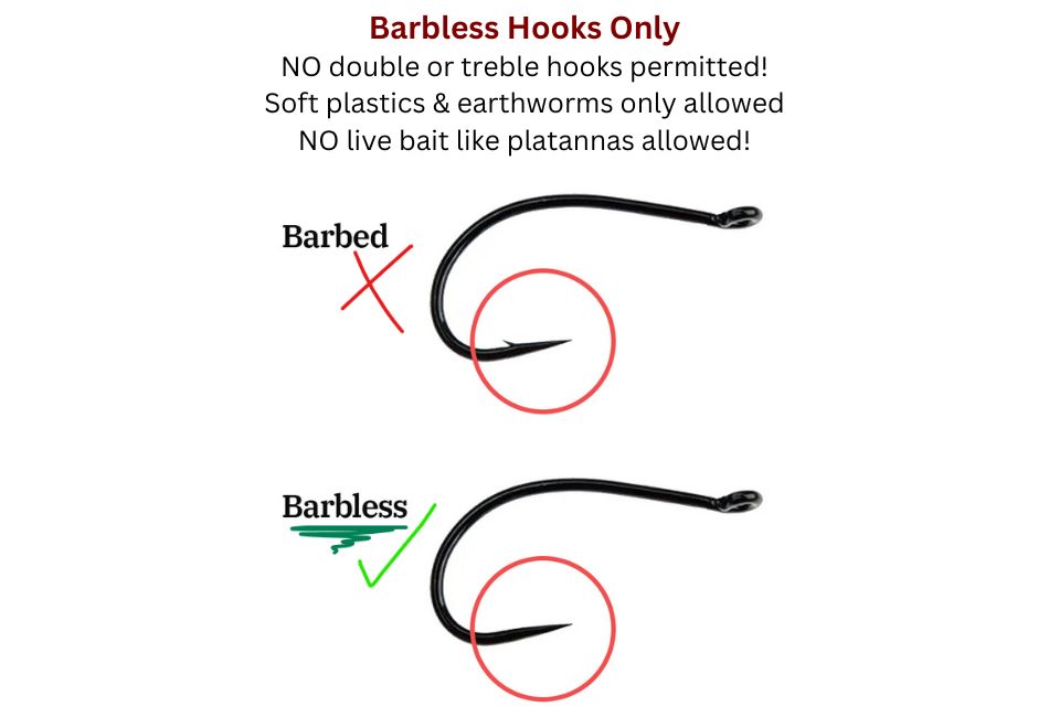 Barbless Hooks Only